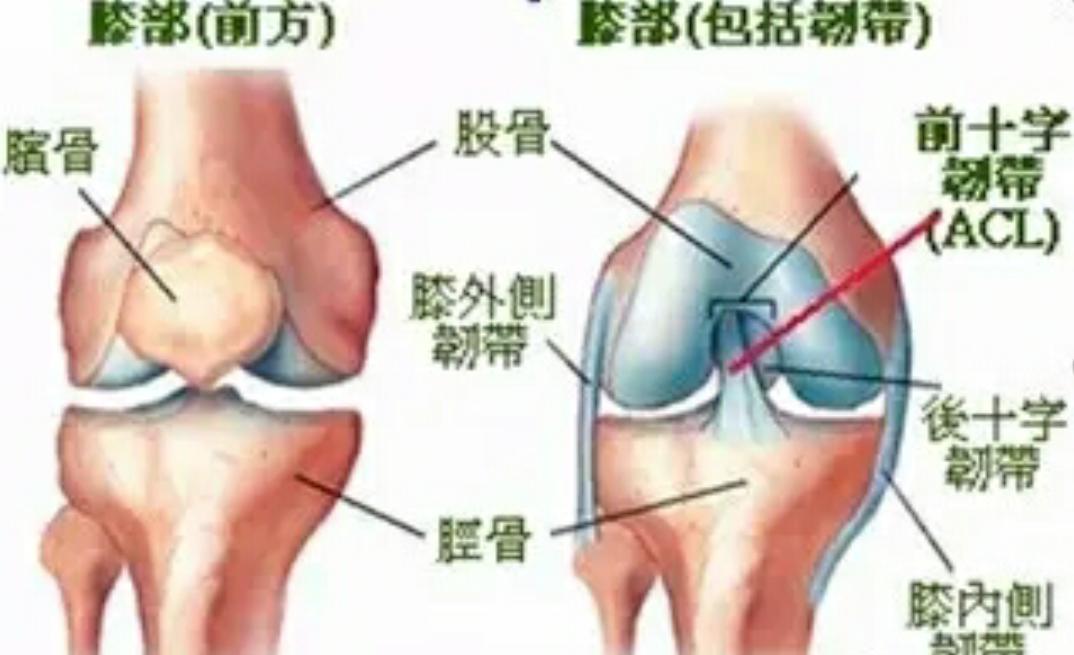 膝关节韧带受伤该怎么办？如何检查膝关节韧带受损？