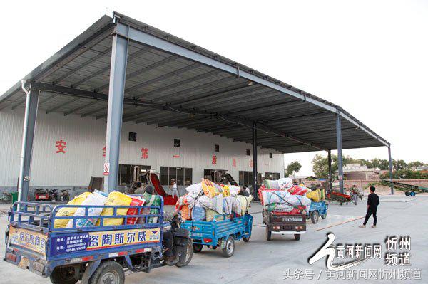 2021忻州辣椒基地,忻州辣椒产业园在哪