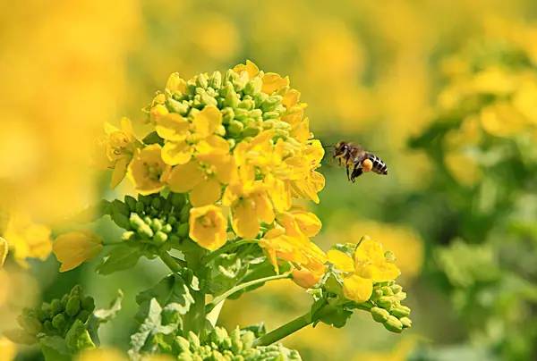 因为一句话恋上一座城,因为一个人恋上一座城