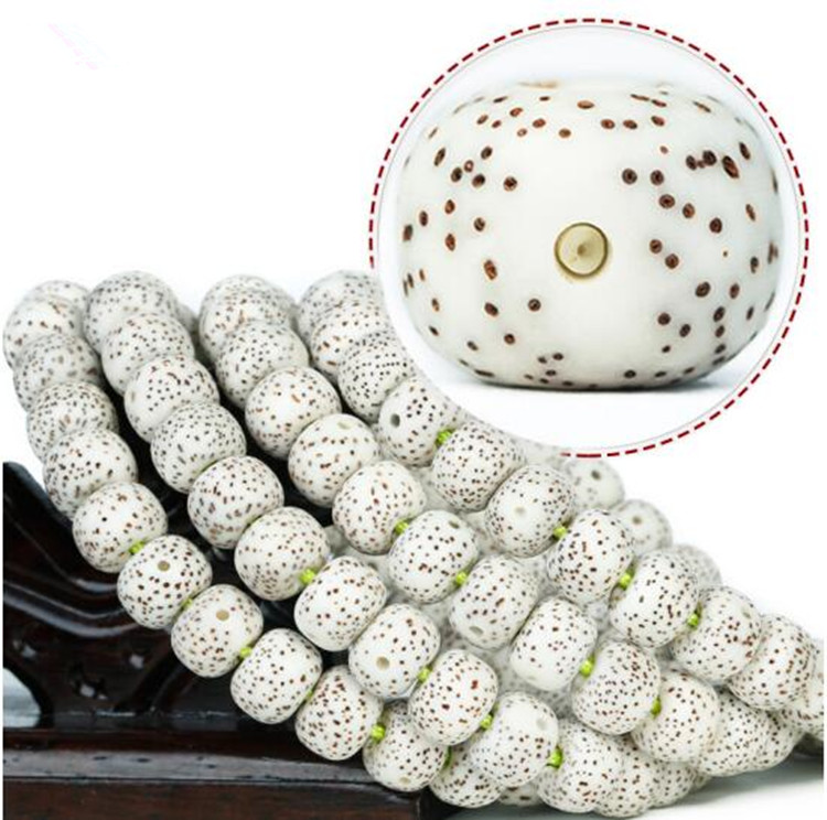 海南星月菩提,星月菩提介绍书籍