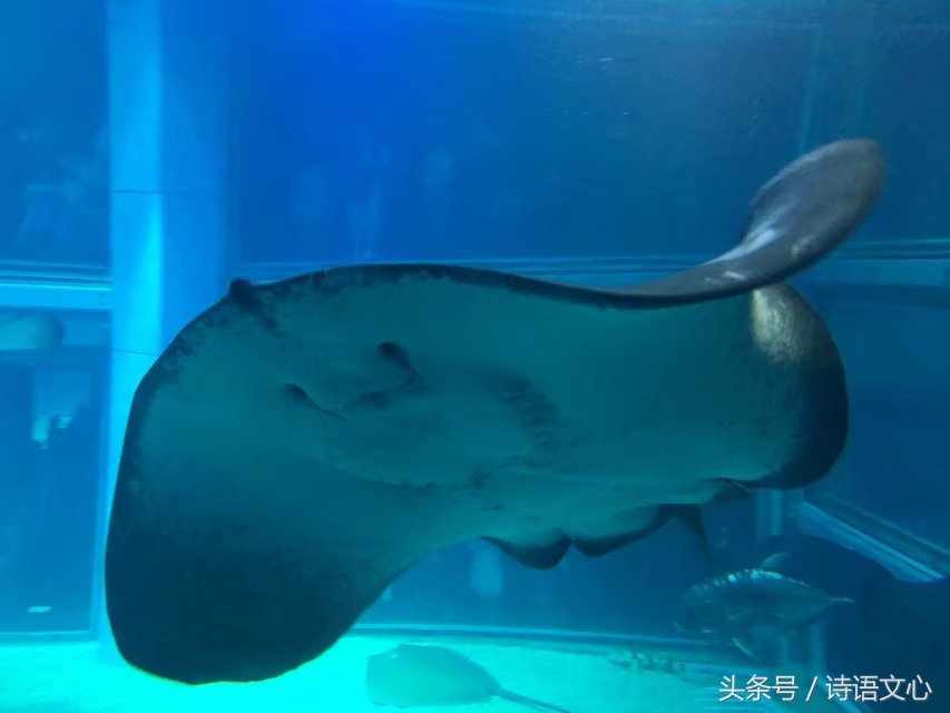 暑假带娃去部队看亲人,带娃去拉练