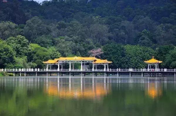 广州景点免费游玩全攻略,广州景点大全免费适合自驾游