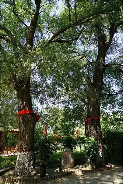 广灵水神堂附近景点介绍图,广灵水神堂要门票吗多少钱