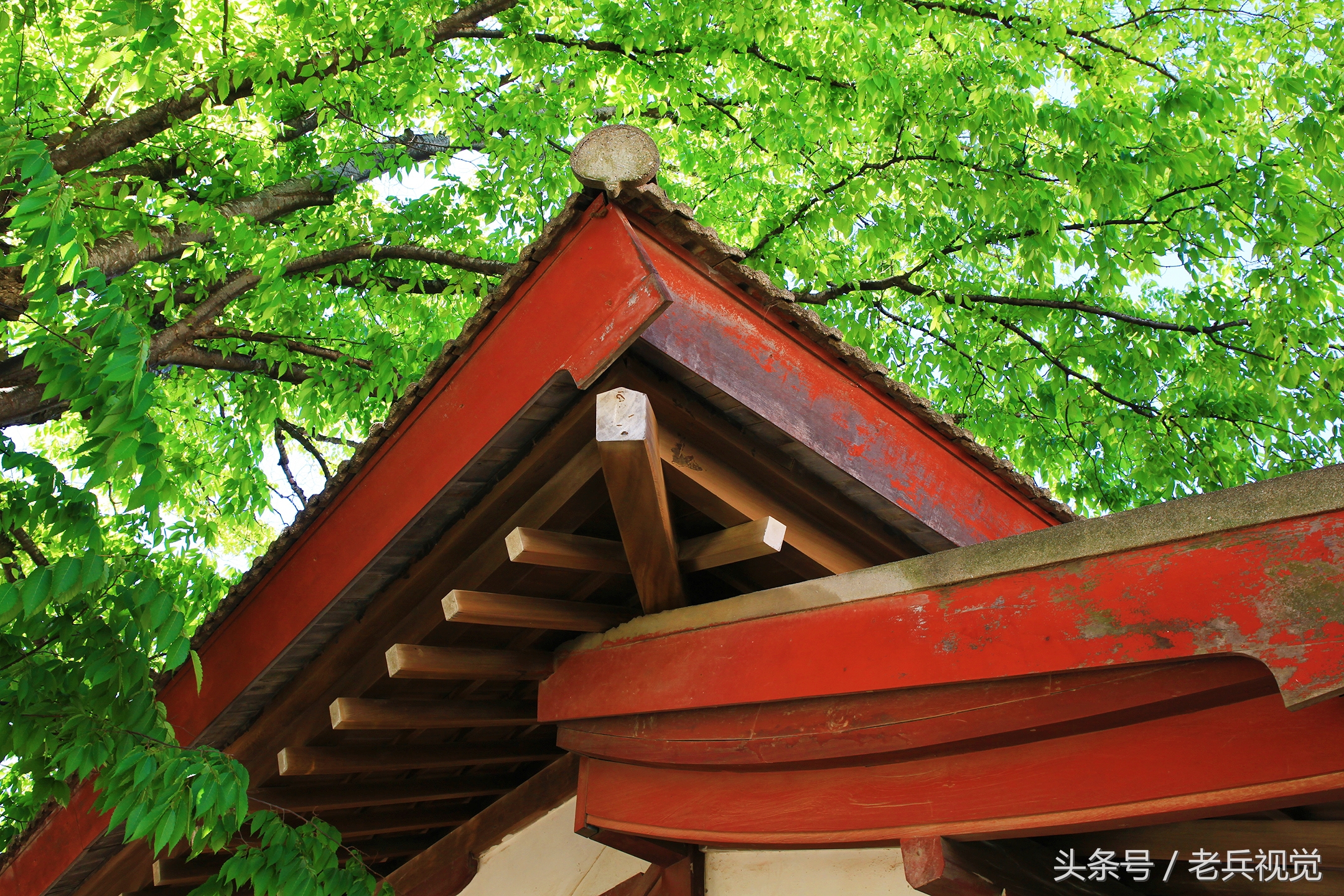 大连的秋天,大连附近秋天值得去的城市