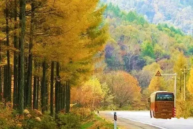 夏季沈阳周边自驾游路线推荐,沈阳周边30个最佳自驾好去处