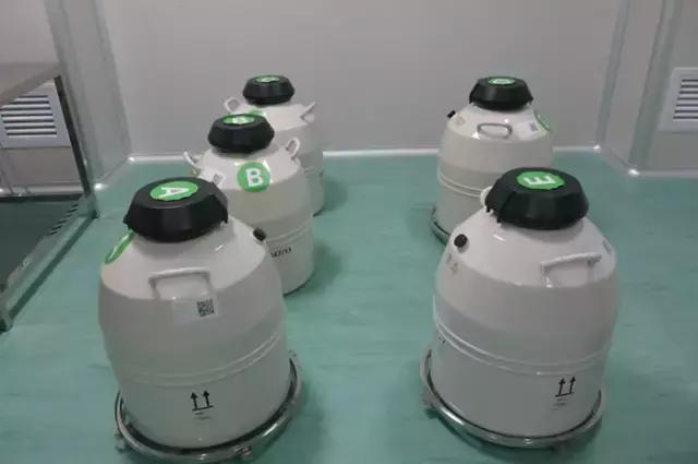 太神奇！生殖医学博士揭秘试管婴儿全过程！