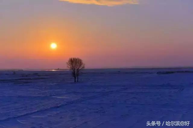 哈尔滨最舒服大厅,哈尔滨哪个区住店便宜