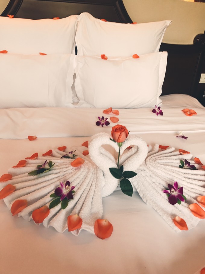 带不到一岁宝宝从北京到三亚,北京到三亚行程攻略