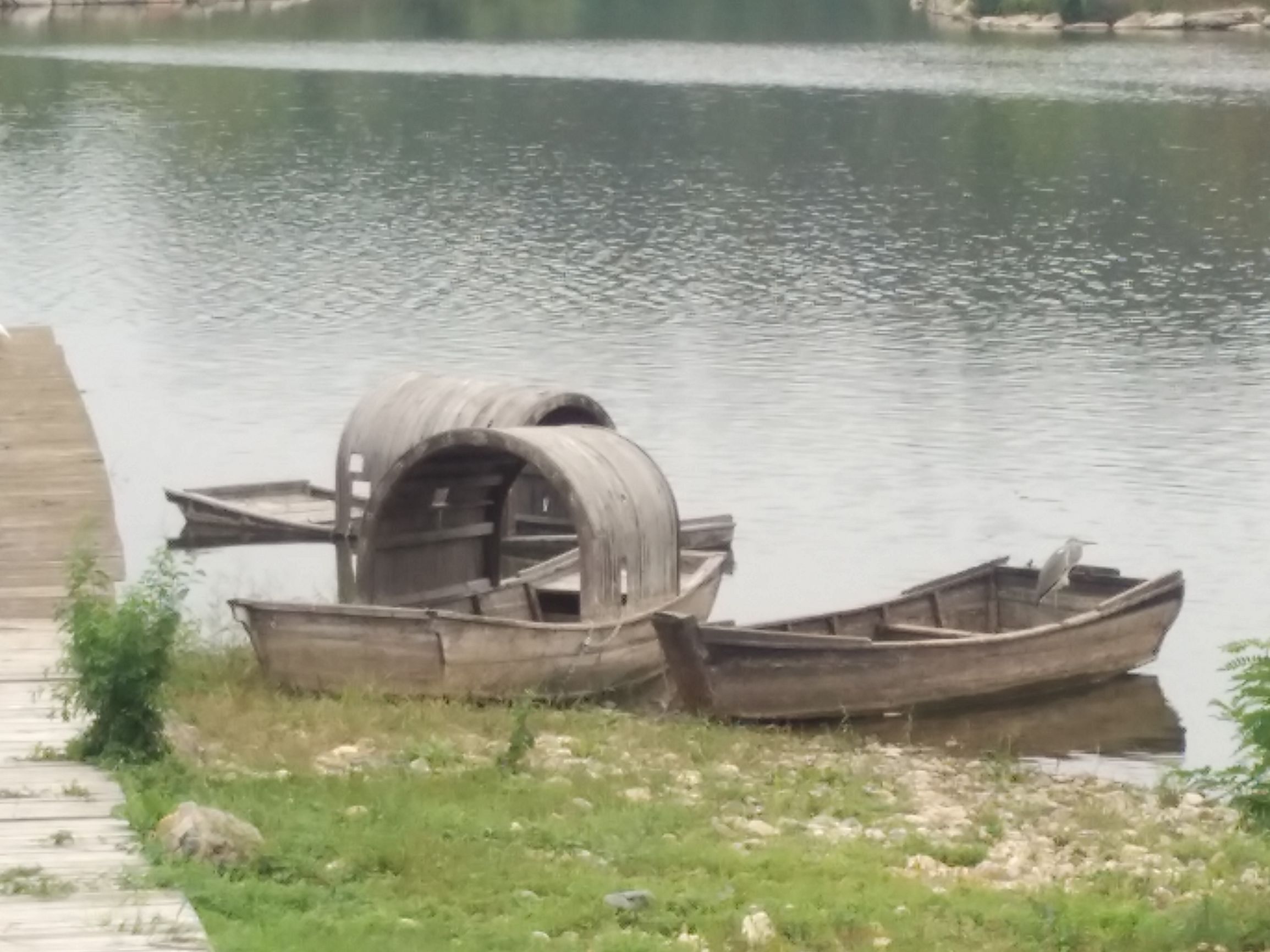 脑血栓后遗症变傻了？没想到天天翻垃圾箱，竟翻出了红宝石钻戒