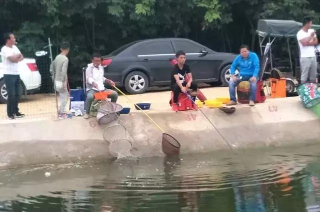 行营钓鱼比赛现场直播,行营钓鱼节