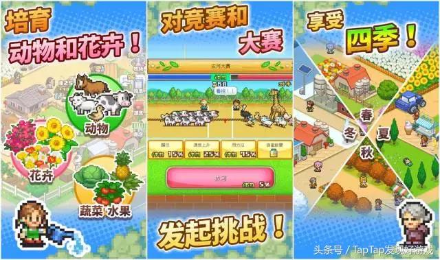 开罗游戏入口,开罗游戏入门