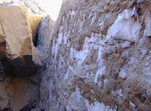 人类把自己当成万物之灵,失去人类的地球将会有什么改变