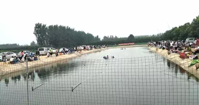行营钓鱼节,行营钓具比赛视频