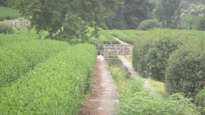 苏州西塘乌镇二日游团从杭州出发,苏州西塘乌镇二日一夜