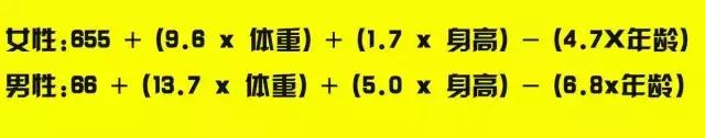 减肥食谱简单方便的表格,减肥瘦身计划食谱