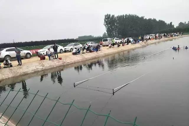 行营钓鱼节,行营钓具比赛视频