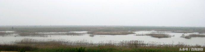 浙江玉环漩门湾国家湿地公园灯光,浙江玉环漩门湾湿地公园拍鸟