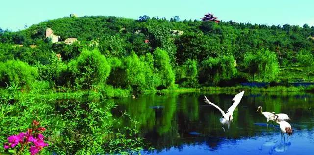 太太受委屈,太太委屈