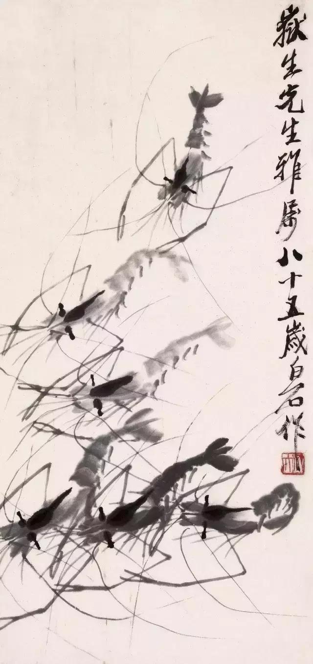 怎么临摹齐白石画的虾教程,齐白石虾的画法教程
