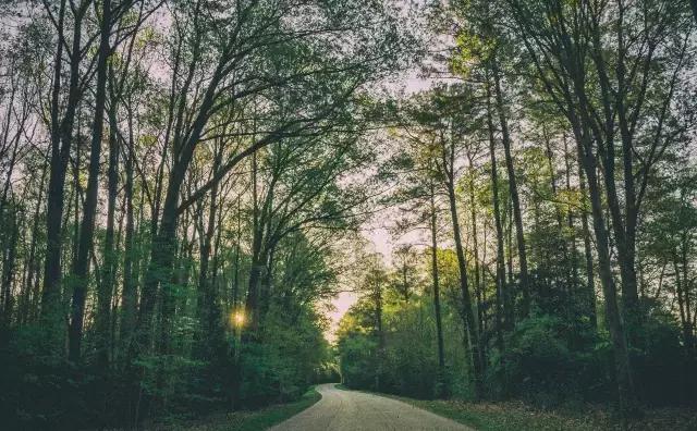 失恋后失眠怎么办,失恋失眠怎么办