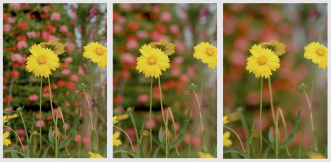 摄影小景深效果图,摄影景深知识大全