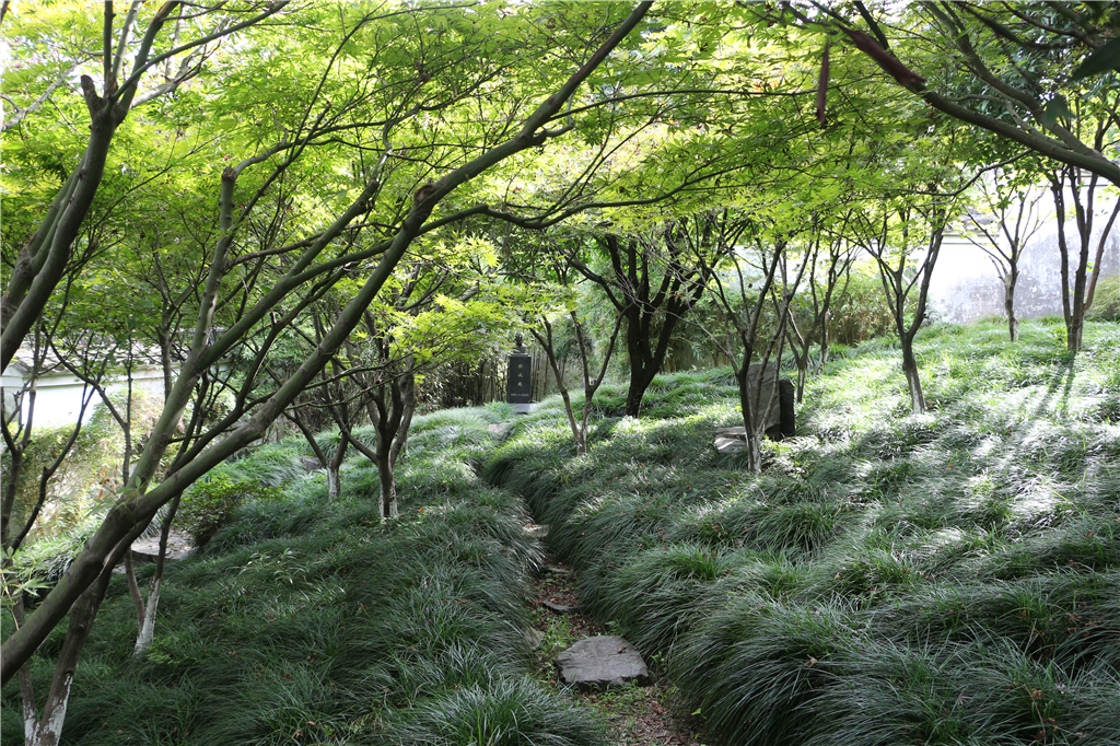 品山水美景房子,品农家菜