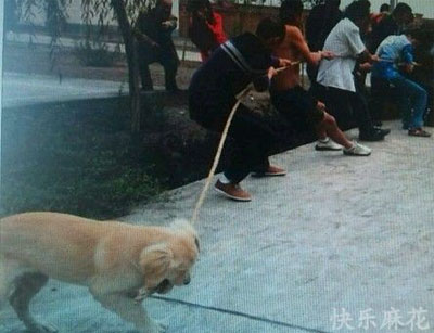 舔第二碗时，丈母娘拉我的手说：放这儿吧！等下我来洗