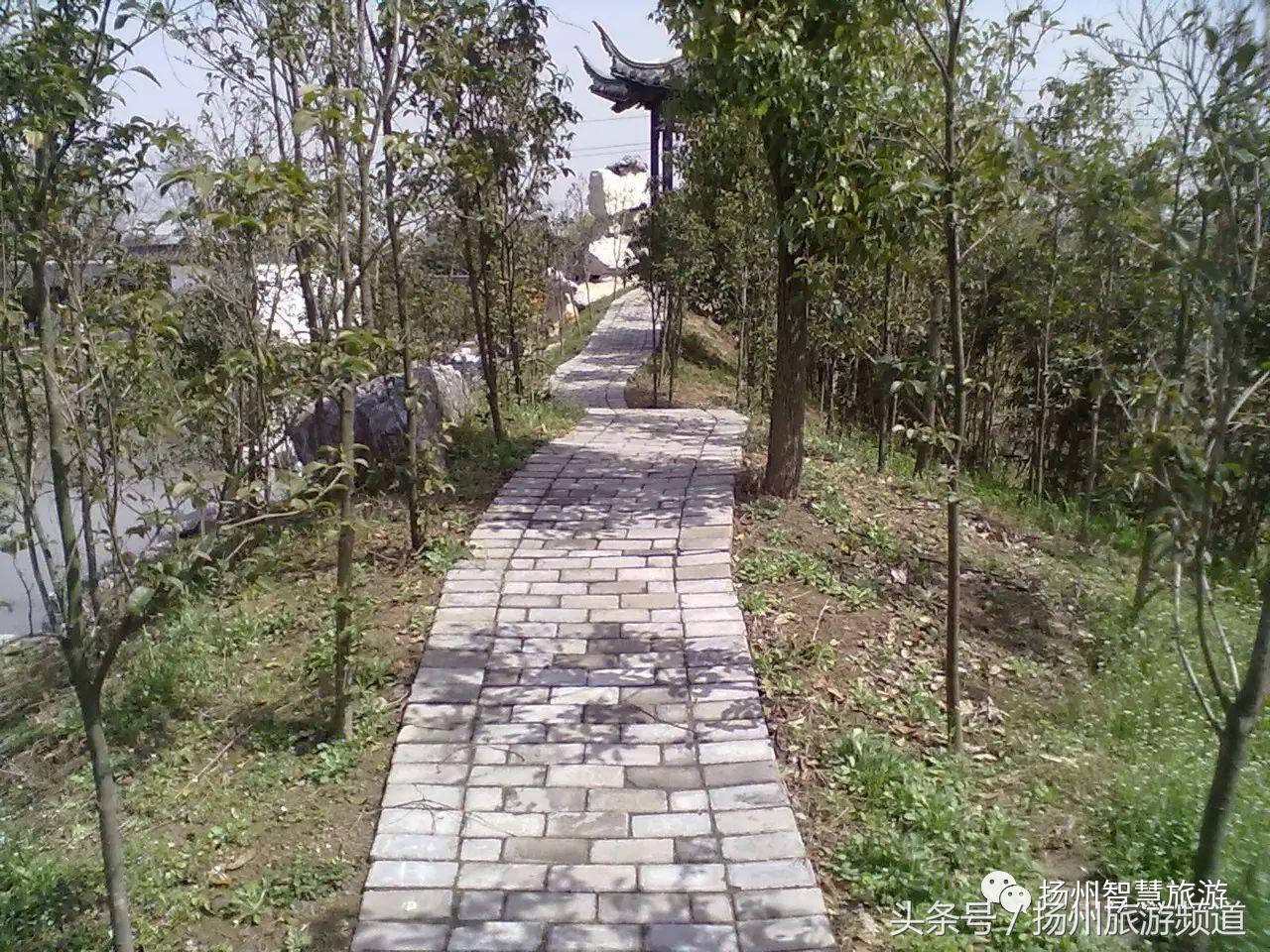 扬州农家乐游玩攻略,扬州十大最美农家乐