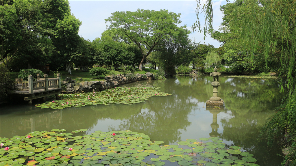 嘉兴南北湖农家乐推荐,嘉兴南北湖农家