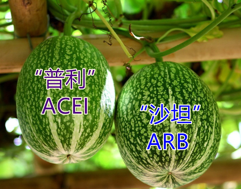 普利和沙坦首选哪个视频,普利和沙坦哪个对肾更好