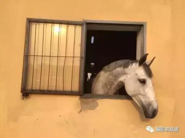 手机修图如何修得有质感,手机照片后期修图软件推荐