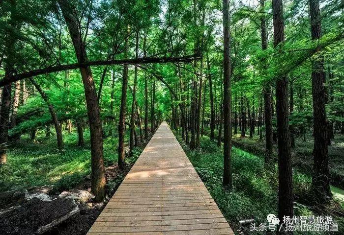 扬州农家乐游玩攻略,扬州十大最美农家乐