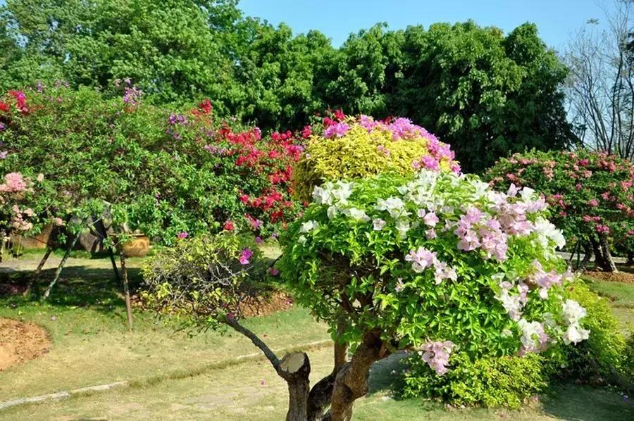 元旦成都出发两天一夜旅游攻略,成都出发三四天旅游推荐国庆