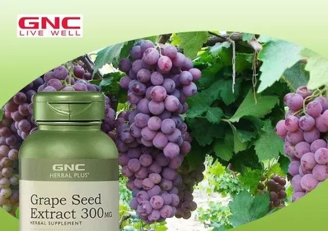 种草机德国,旅游种草机推荐