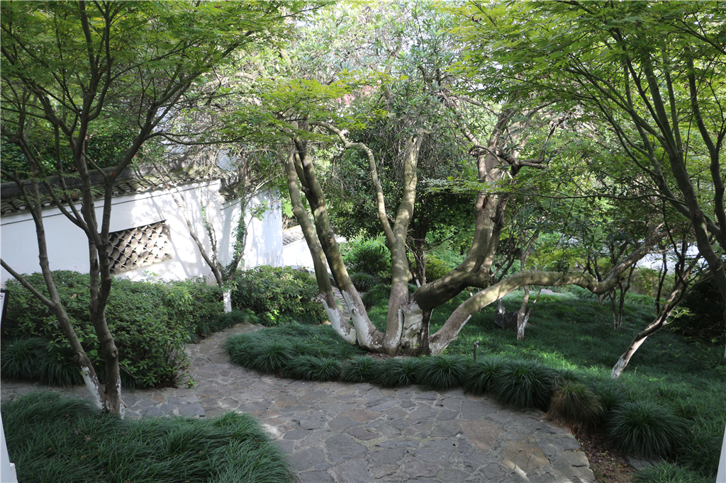 品山水美景房子,品农家菜