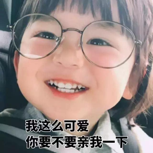 这位爱宠狂魔却是阻碍我和荷兰猪友谊道路上的始作俑者