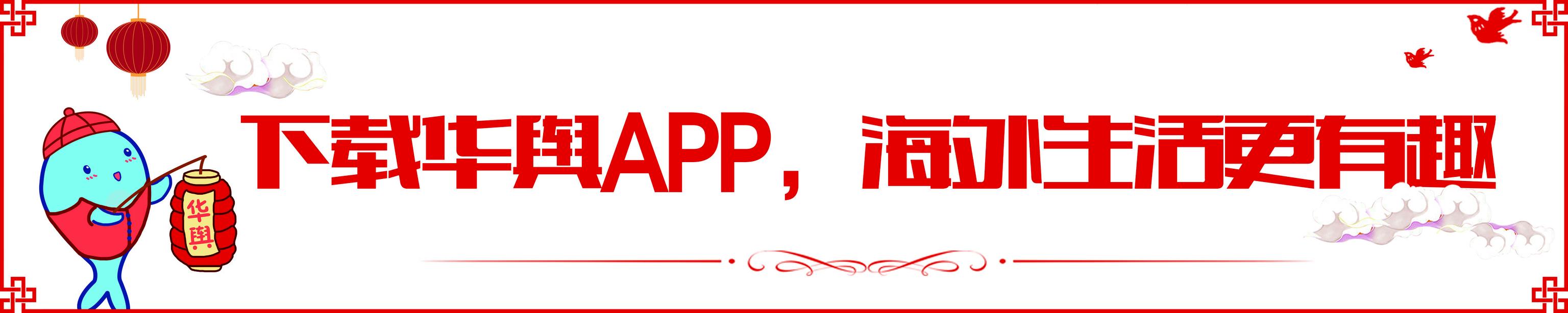 心中默念都行、可以、没关系，让我们开启“佛系”的一天