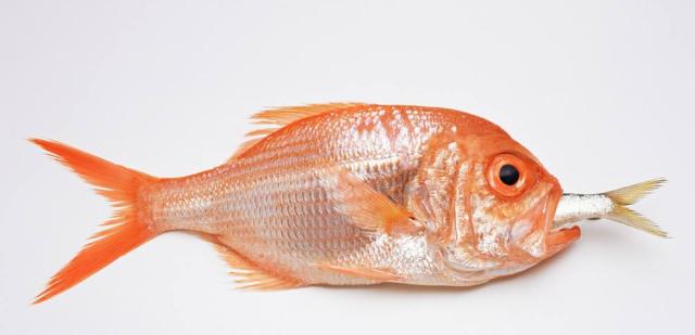 五招识别泡过“尸药”的毒海鲜，这些我们在厦门竟然常常吃！