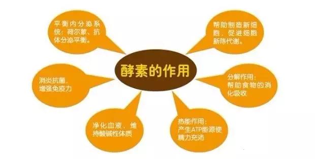 关于酵素减肥你需要知道的哪些事,酵素减肥的正确方法介绍