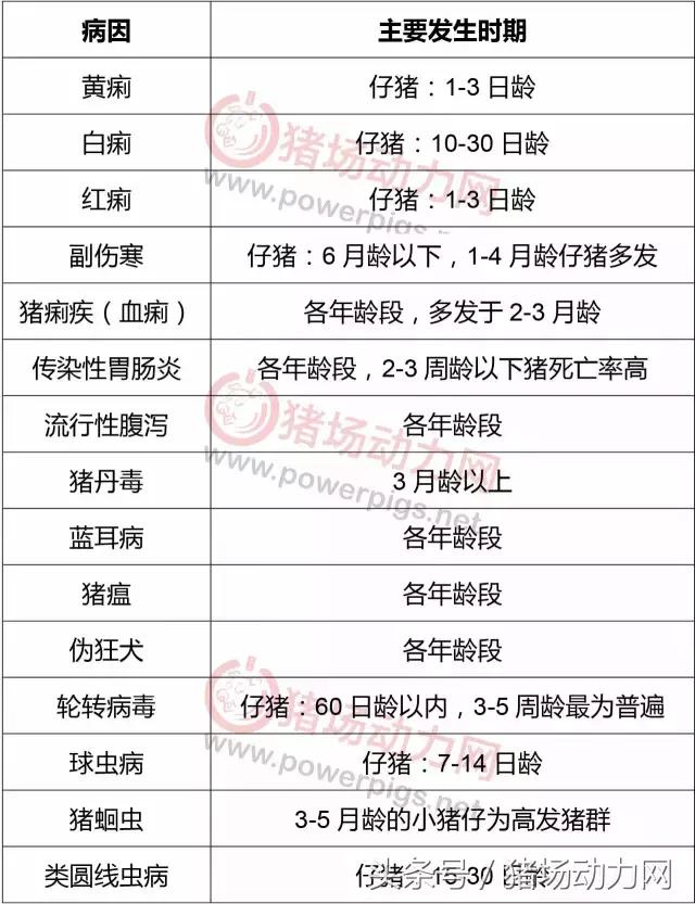 腹泻小知识图文,治疗腹泻小妙招