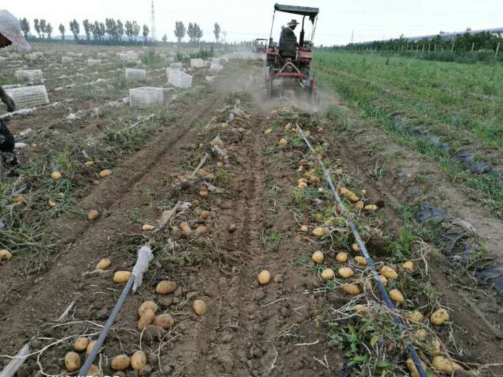 清田塑业降解地膜,山东生物降解地膜厂家