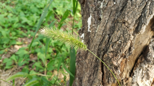 小米mix2专业评测,曝小米mixfold2参数