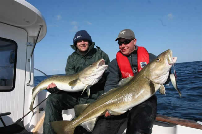 中国人常吃的鱼,常吃的海鱼种类及图片