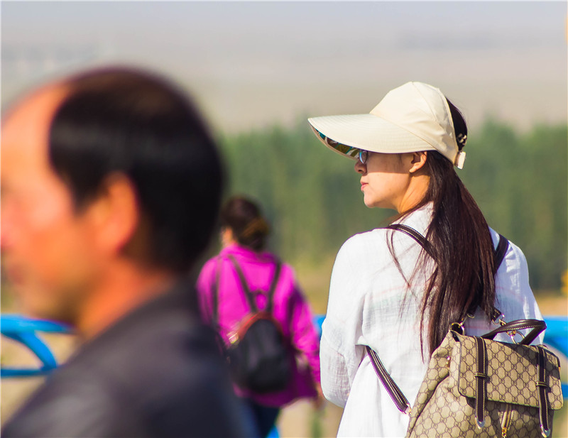 肃北七彩花海,肃北百亩花海在哪里