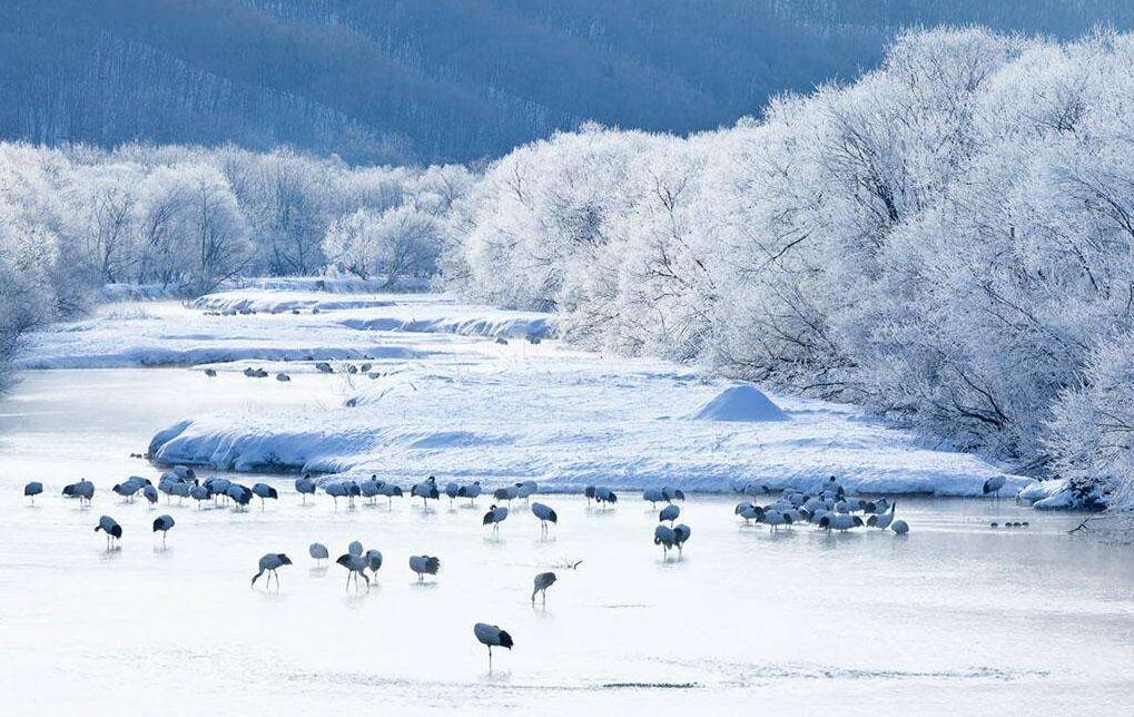 十一10大冷门旅行 (十一小众旅行)