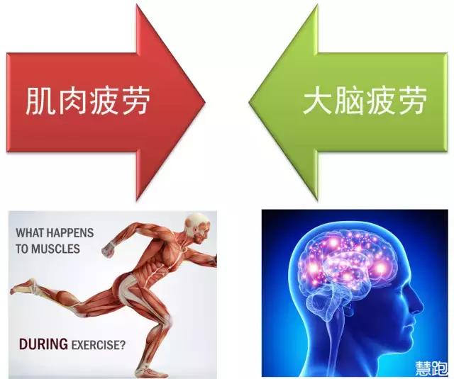 马拉松如何做到后程不掉速,马拉松途中跑不完怎么办