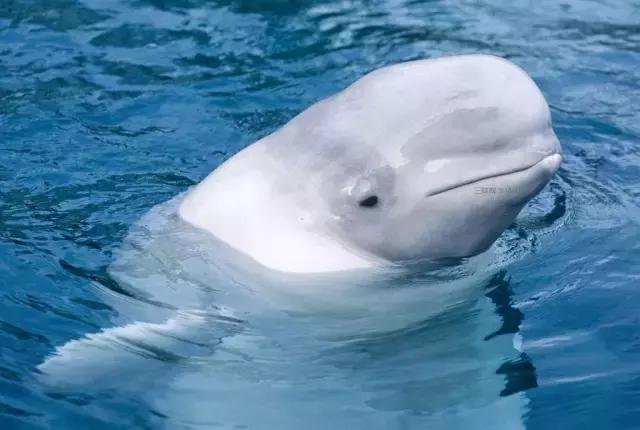 居游大事｜金秋套票正式发售啦！这次两个套票任你选！