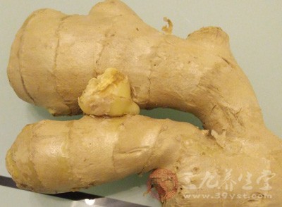 生姜水洗头用法用量,生姜水洗头的步骤