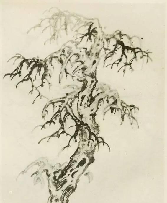 山水画画树的教学视频,山水画基础画树技法合集