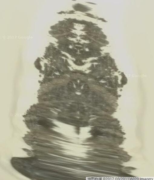 谷歌地图上的神秘物体,5个在谷歌地图上拍到的神秘生物